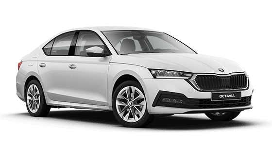 Octavia New